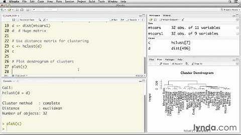 3 Conducting a cluster analysis