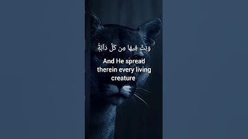 #تلاوة_خاشعة #سوره_لقمان #الشيخ_ياسر_الدوسري#الايه9/10/11 #صلي_علي_رسول_الله #متابعه_لايك_فضلا