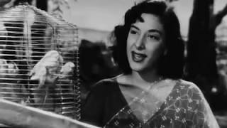 PANCHHI BANOON URTI PHIRUN -LATA JI &CHORUS-HASRAT JAIPURI -SHANKER JAIKISHAN ( CHORI CHORI 1956 )