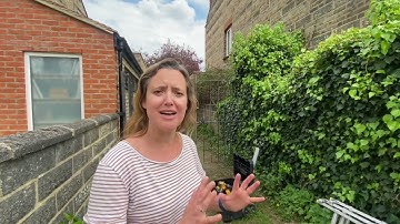 Our 1st Swift nest boxes are up!