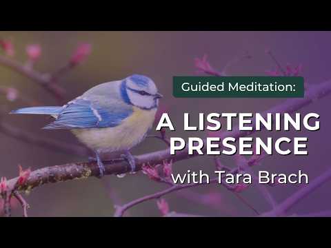 Guided Meditation: A Listening Presence | Tara Brach