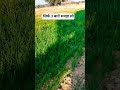सिर्फ 3 बातें समझ लो #motivation #shorts #trending