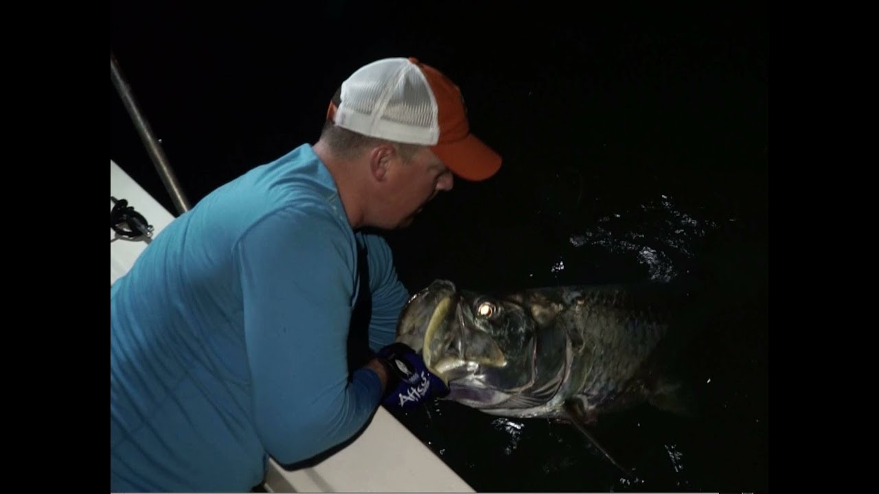 JUMPS Best of Miami Tarpon Fishing  2017 | Fly and Fish Tv