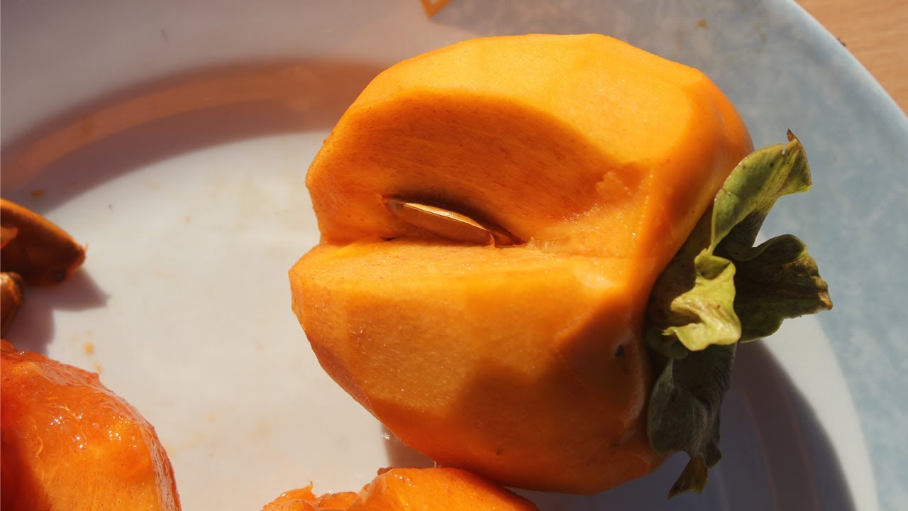 Почему у моей хурмы нет семян