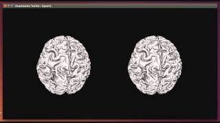 Oculus Rift / VTK Interactions