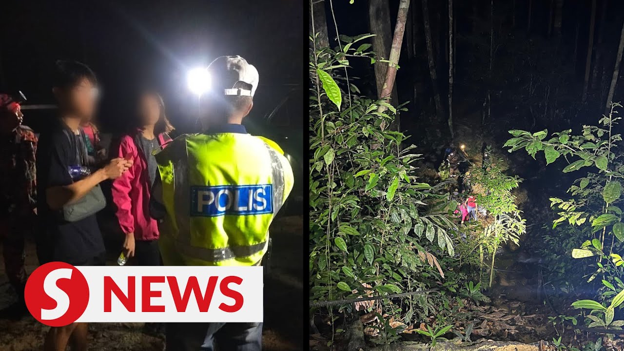 Missing trekkers found safe on Johor's Gunung Panti