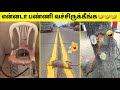    5  funniest engineering fails ever  tamil amazing facts  design fails