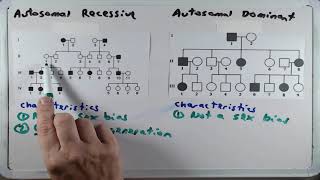 BIO 315 Human Genetics Inheritance Part III