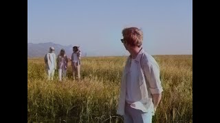 The World Of Birds ft. Red Robyn - 2020 (Premonition Song)