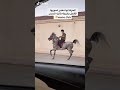 قوة و سرعة الخيل العربي الاصيل خيال كفوا خيل حصان 