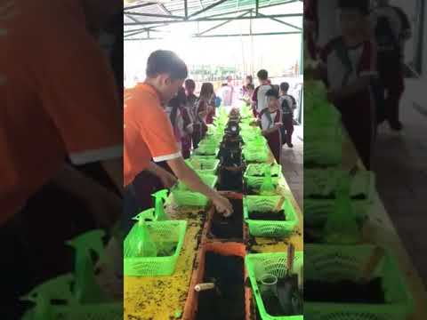 Tham quan ngoại khoá