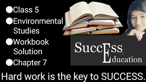 Class 5 | Environmental Studies |NCERT | Workbook Solution | Chapter 7 | Experiments With Water