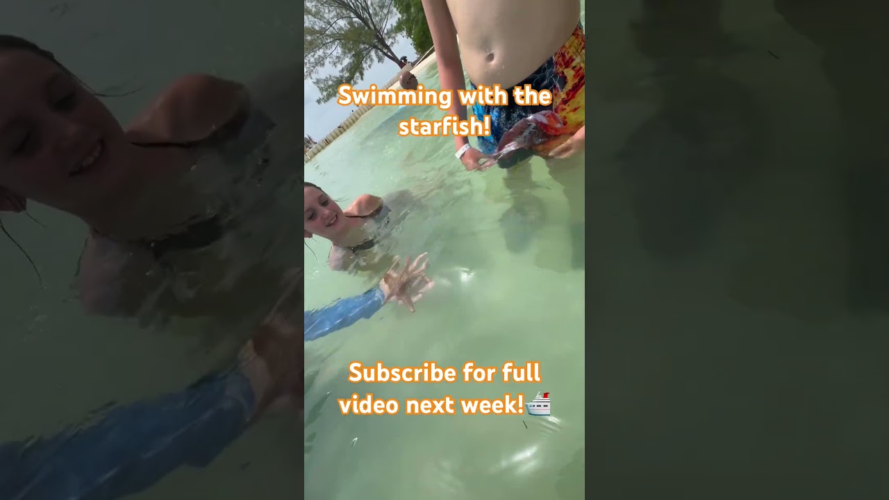 Royal Caribbean Cruise Swimming with the star fish #royalcaribbean