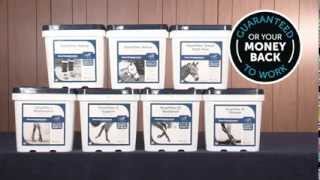 SmartFlex Family: The Official Joint Supplements of AQHA