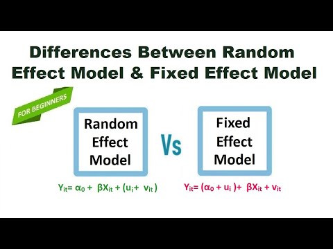 Differences Between Random Effect Model and Fixed Effect Model
