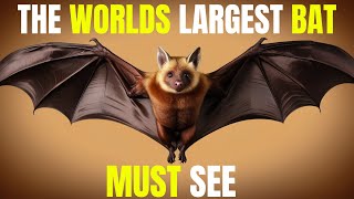 The World’s Largest Bat: Amazing Facts About the Giant Golden-Crowned Flying Fox!