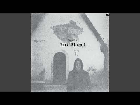 ShitKid — restless