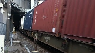 JR貨物 EF66-102号機[吹]+コキ24B 67レ【20ft.TRITON等の海上コンテナ積載！】