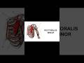 اهمية جلسات المساچ الرياضي مع كبتن عبدالرحمن #sports #الاجسام #onlinecoaching #anatomy