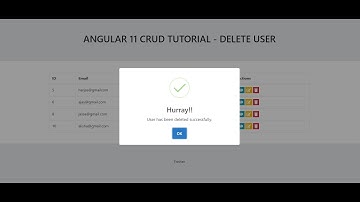 Angular 11 Crud Tutorial - Delete User