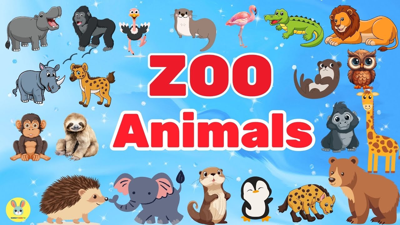 Zoo Animal Sounds Song | Sound of Animals | Nursery Rhymes Rabbit ...