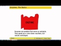 Enzyme Specificity Quiz