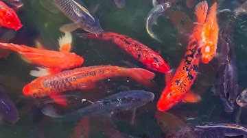 Filtron M - Loop The Bubble