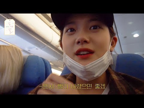 [민서의 잎새달] #31 민서 @ hongkong 2편