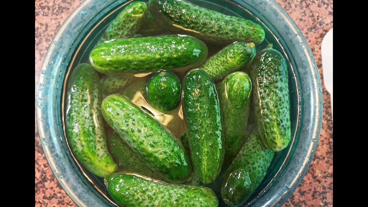 Ogórki małosolne kiszone na sucho - Praktyka u Praktyka
