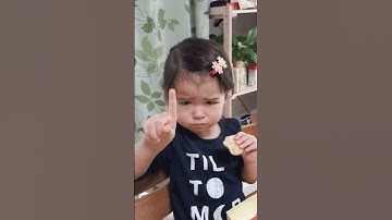 Generate Color Palette from Image With Adobe Illustrator