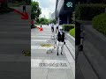 Unitree Robot Walks a REAL Dog! The Future of Pet Care? 🐶🤖宇樹機器人街頭溜真狗!2026 未來生活已至,遛狗員要失業了?