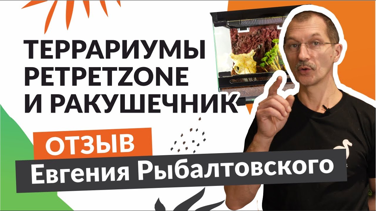 Отзыв Евгения Рыбалтовского на новый грунт ракушечник и террариум "PetPetZone"