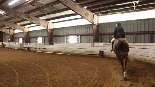 Courtney Pezak & Don Alejandro - Training Level Test 2
