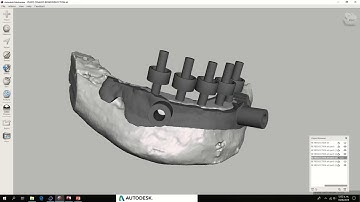 Meshmixer + blueskyplan parte 3