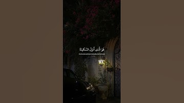 ﴿ هُوَ الَّذِي أَنزَلَ السَّكِينَةَ ﴾ | سورة الفتح : الآية 4 | القارئ عبد الرحمـٰـن مسعد