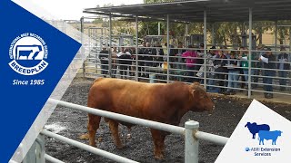 A BREEDPLAN Guide to Animal Selection Promo A Breedplan Guide To Animal Selection