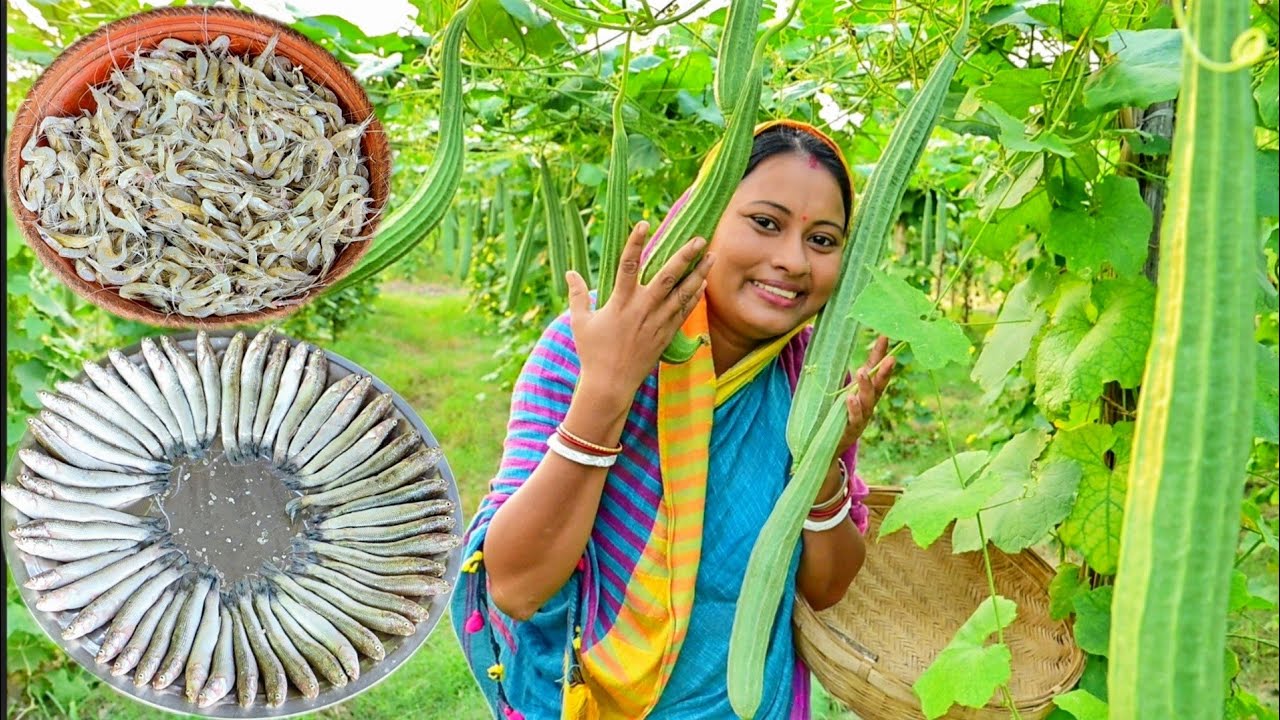 নদীর তারই মাছের তেলঝল সাথে বাগানের ঝিঙে আর চিংড়ি মাছ দিয়ে রান্না আর দুপুরে খাওয়া || fish curry