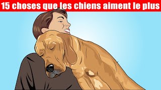 15 choses que les chiens aiment le plus | Incroyablement Top