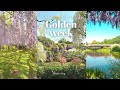 Golden week in japan day trip to hakone museums ashikaga flower park teamlab tokyo vlog