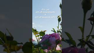 Heirloom Roses Sale! #roses