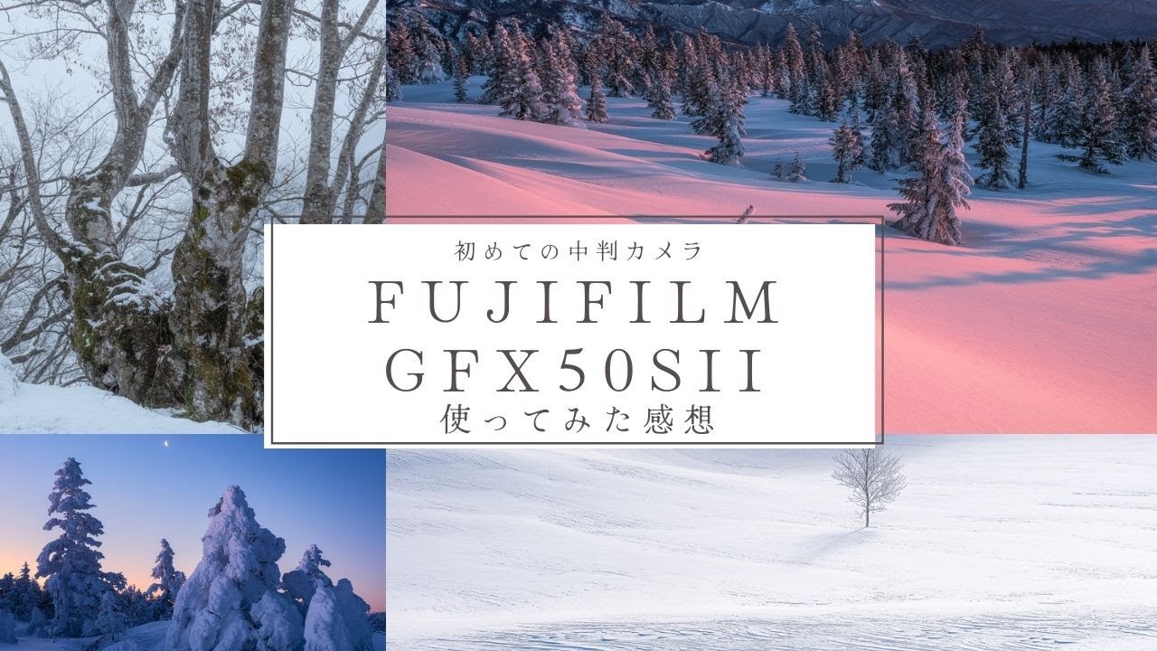 Fujifilm】初めての中判カメラGFX50SII を使ってみた感想|特徴と 