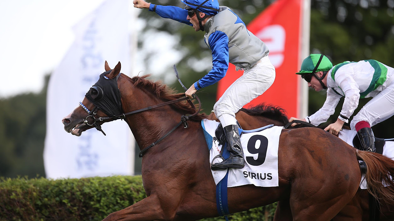 Livestream Berlin-Hoppegarten 23.05.