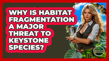 Why Is Habitat Fragmentation A Major Threat To Keystone Species? - Reptilian Wonders