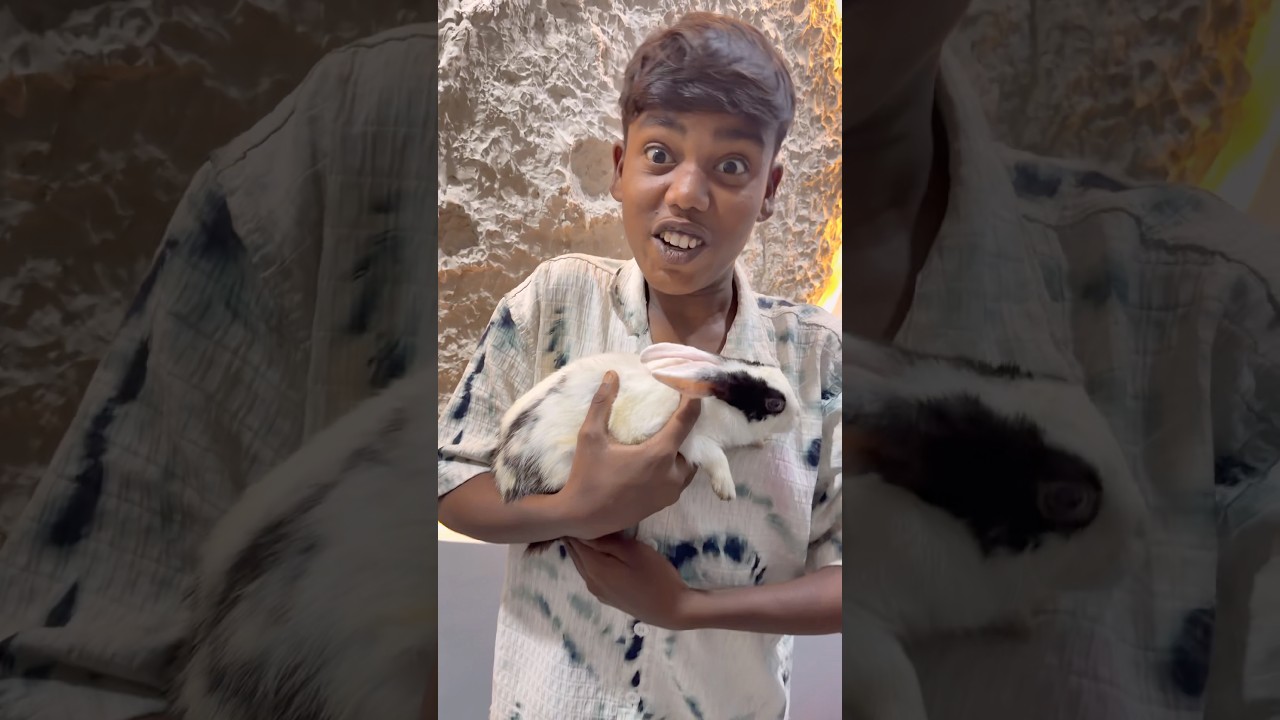 CHOTU KA MOON RABIT #shorts @FACTFIREKING