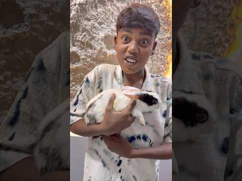 CHOTU KA MOON RABIT #shorts @FACTFIREKING