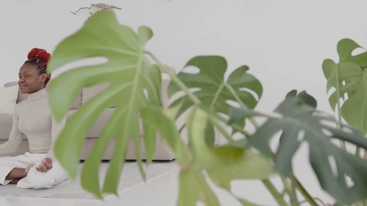 Embrace the Present: Cultivating Presence and Appreciation