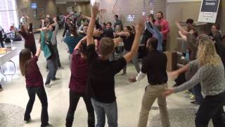 Nwhsu Happy Flash Mob
