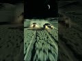 Moon Racers, Those Americans do strange things on the moon