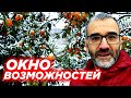 История про снег в пустыне или как мы видим возможности для заработка. Жизнь налегке 2022