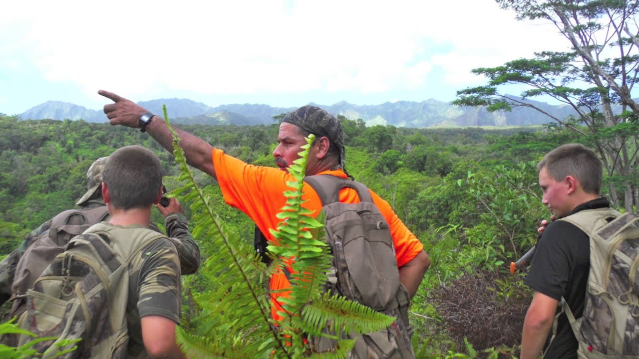 Bob Durant goes on a Hawaiian wild boar Adventure in Kauai - YouTube